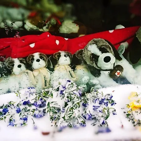 Italia Hotel Saint-Rhemy-En-Bosses