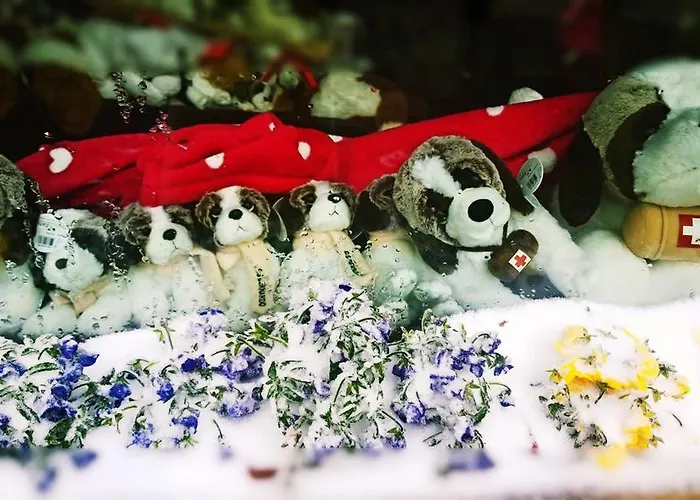 Italia Hotel Saint-Rhemy-En-Bosses